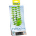 Tetra DecoArt Plant S Ambulia 1-es méret 15 cm