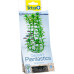 Tetra DecoArt Plant S Anacharis 1-es méret 15 cm