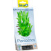 Tetra DecoArt Plant S Hygrophila 1-es méret 15 cm
