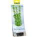 Tetra DecoArt Plant M Ambulia 2-es méret 23 cm