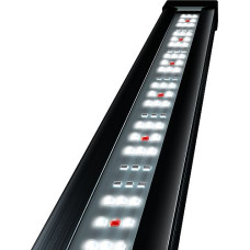 Tetronic LED ProLine 1180 (34w / 12w, 2380Lm / 165Lm)