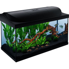 Tetra Starter Line LED, kompletten + LED világítással 105 L