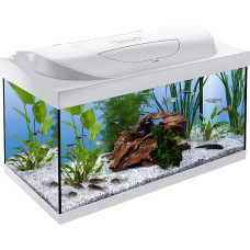 Tetra Starter Line LED, kompletten + LED világítással 54 L fehér