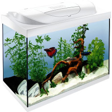 Tetra Starter Line LED, kompletten + LED világítással 80 L fehér