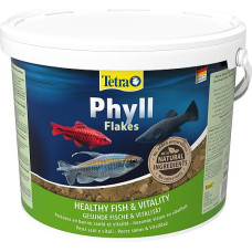 Tetra Phyll Flakes 2050 g / 10 L - NutriEvolution